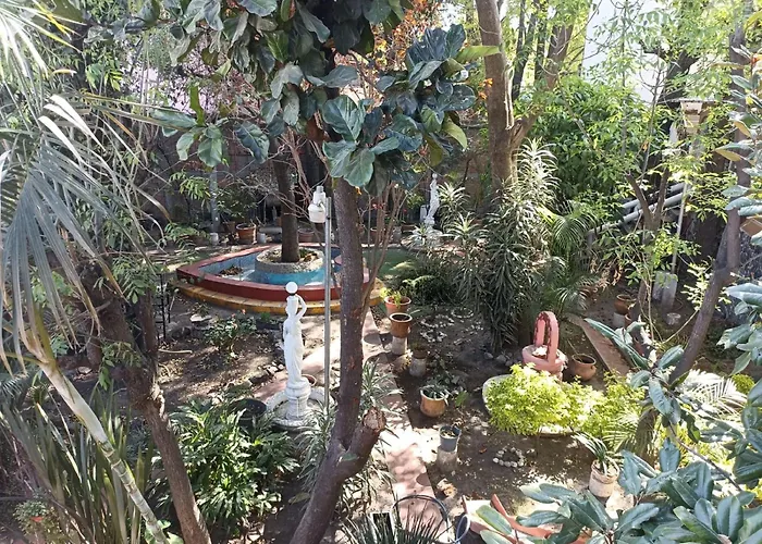 Apartment Tonalli Mexico City