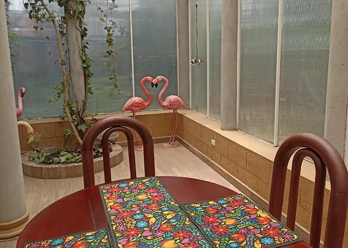 Tonalli Apartment