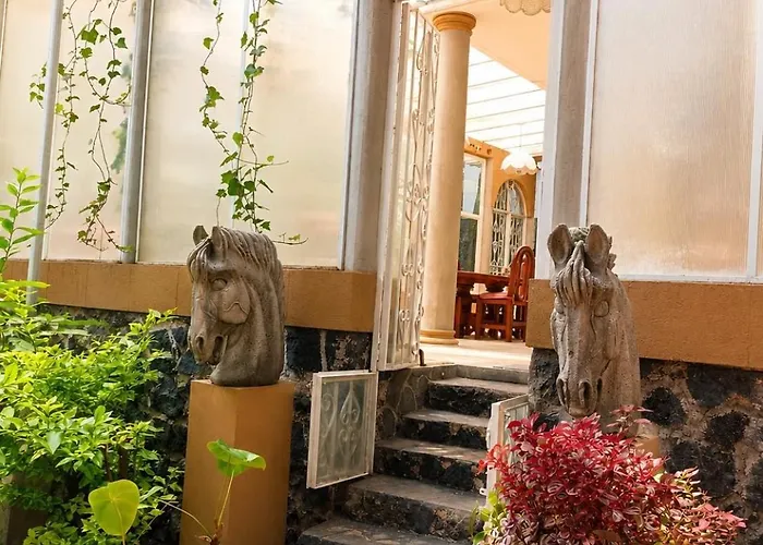 Tonalli Apartment